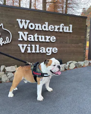 わんダフルネイチャーヴィレッジに投稿された画像（2021/12/14）