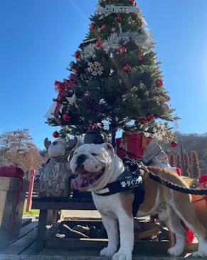 わんダフルネイチャーヴィレッジに投稿された画像（2021/12/14）