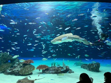 サンシャイン水族館に投稿された画像（2021/12/14）