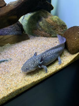 サンシャイン水族館に投稿された画像（2021/12/14）