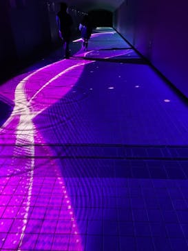 東京メガイルミに投稿された画像（2021/12/14）