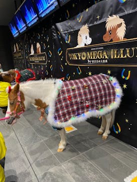 東京メガイルミに投稿された画像（2021/12/14）