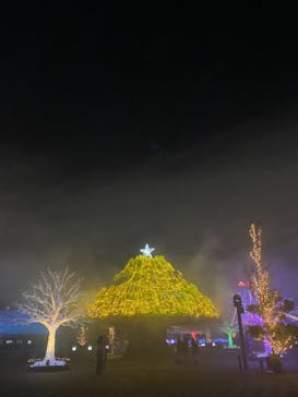 東京メガイルミに投稿された画像（2021/12/14）