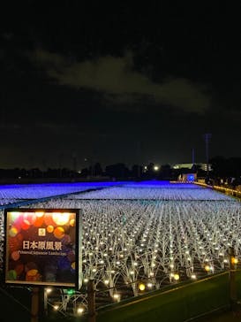 東京メガイルミに投稿された画像（2021/12/14）