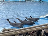 名古屋港水族館に投稿された画像（2021/12/14）