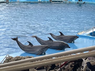 名古屋港水族館に投稿された画像（2021/12/14）