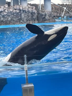 名古屋港水族館に投稿された画像（2021/12/14）
