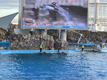 名古屋港水族館に投稿された画像（2021/12/14）