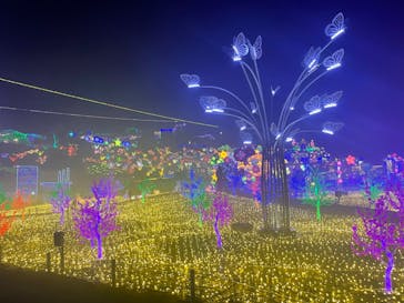 伊豆ぐらんぱる公園に投稿された画像（2021/12/14）