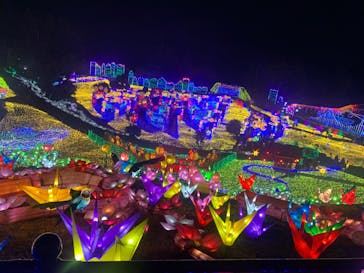 伊豆ぐらんぱる公園に投稿された画像（2021/12/14）