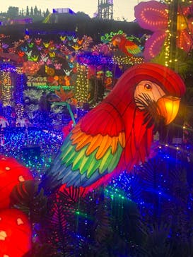 伊豆ぐらんぱる公園に投稿された画像（2021/12/14）