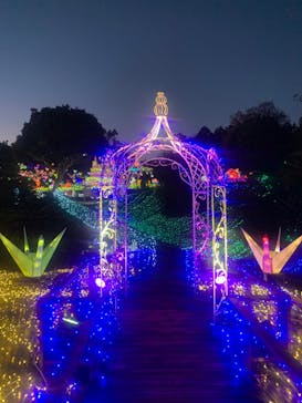 伊豆ぐらんぱる公園に投稿された画像（2021/12/14）