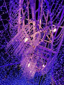 江の島シーキャンドルに投稿された画像（2021/12/14）