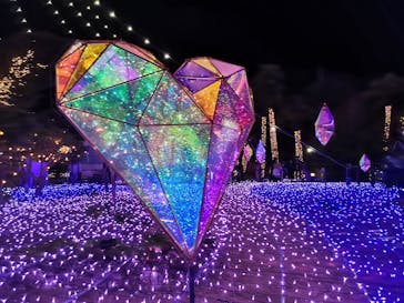 江の島シーキャンドルに投稿された画像（2021/12/14）