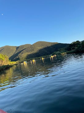 マングローブ茶屋に投稿された画像（2021/12/14）