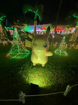 美らヤシパークオキナワ・東南植物楽園に投稿された画像（2021/12/14）