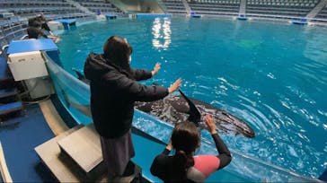 マクセル アクアパーク品川に投稿された画像（2021/12/14）