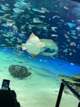 サンシャイン水族館に投稿された画像（2021/12/15）