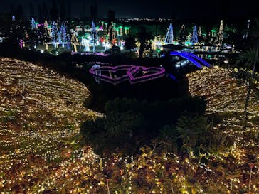 美らヤシパークオキナワ・東南植物楽園に投稿された画像（2021/12/14）