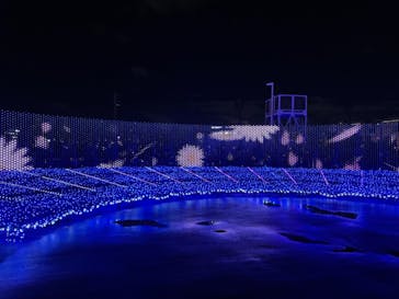 東京メガイルミに投稿された画像（2021/12/14）