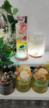 ずこうしつ〜sugamo〜に投稿された画像（2021/12/15）