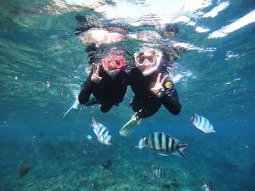 武藤潜水に投稿された画像（2021/12/15）