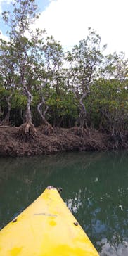 マングローブ茶屋に投稿された画像（2021/12/15）