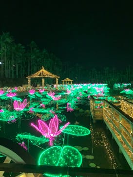 美らヤシパークオキナワ・東南植物楽園に投稿された画像（2021/12/15）