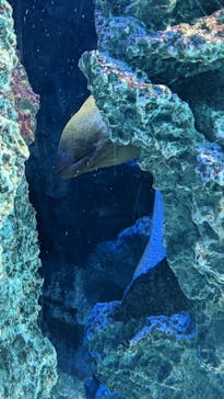 サンシャイン水族館に投稿された画像（2021/12/15）