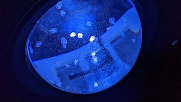 サンシャイン水族館に投稿された画像（2021/12/15）