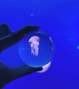 新江ノ島水族館に投稿された画像（2021/12/15）