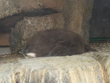 仙台うみの杜水族館に投稿された画像（2021/12/15）