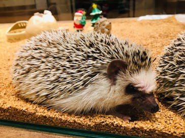 HARRY　横浜中華街店に投稿された画像（2021/12/15）