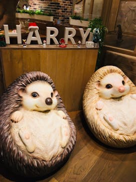 HARRY　横浜中華街店に投稿された画像（2021/12/15）