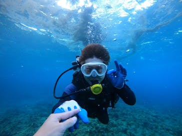 武藤潜水に投稿された画像（2021/12/15）