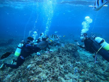 武藤潜水に投稿された画像（2021/12/15）