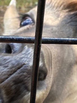 那須サファリパークに投稿された画像（2021/12/15）