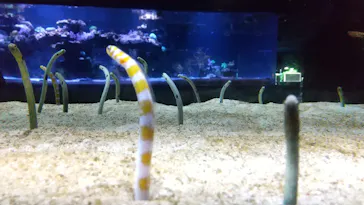 すみだ水族館に投稿された画像（2021/12/15）