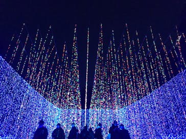 さがみ湖MORI MORIに投稿された画像（2021/12/15）