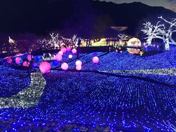 さがみ湖MORI MORIに投稿された画像（2021/12/15）