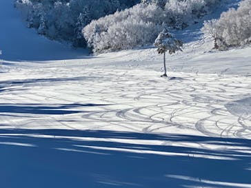 熊の湯スキー場に投稿された画像（2021/12/15）