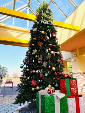 千葉こどもの国 キッズダムに投稿された画像（2021/12/15）