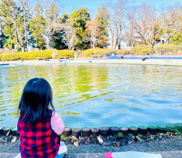 千葉こどもの国 キッズダムに投稿された画像（2021/12/15）