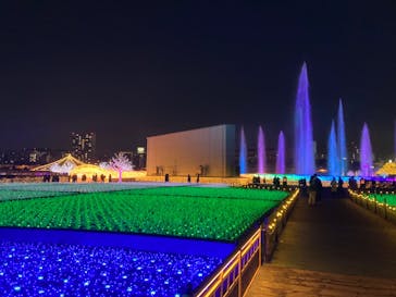 東京メガイルミに投稿された画像（2021/12/15）