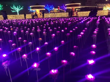 東京メガイルミに投稿された画像（2021/12/15）