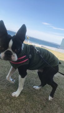 東京メガイルミに投稿された画像（2021/12/15）