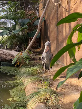 神戸どうぶつ王国に投稿された画像（2021/12/15）