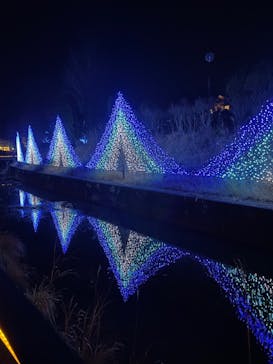 KYOTO ILLUMINATION SYNESTHESIA HILLS るり渓温泉に投稿された画像（2021/12/15）