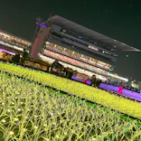 東京メガイルミに投稿された画像（2021/12/15）