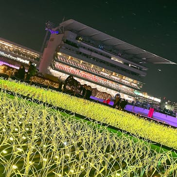 東京メガイルミに投稿された画像（2021/12/15）